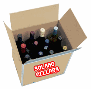 SAMPLERCASE-2-1